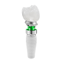 Импланты, купить в GREEN DENT, акции и специальные цены. 
