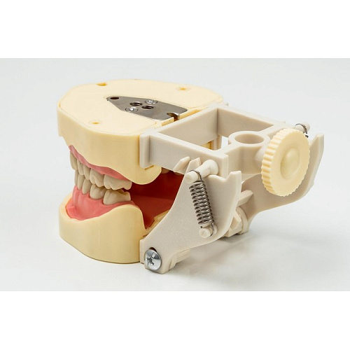 Jingle JG-J1 - фантомная челюсть