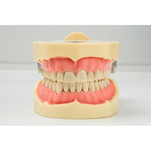 Jingle JG-J1 - фантомная челюсть