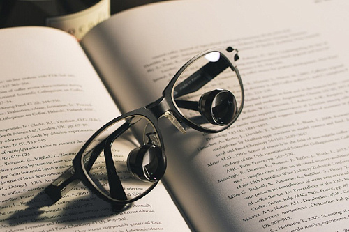 NK Vision TTL x2.5 – Бинокуляры